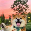 徐开心_qCDx