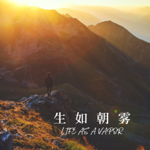 Vol 29：你想成为一个智慧的人吗？