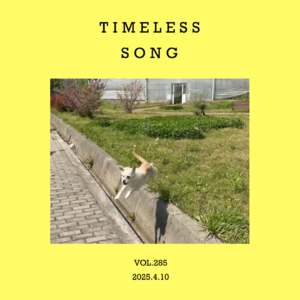 vol.285：爱可爱的人，听耐听的歌～