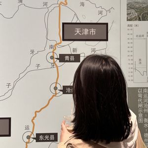 西红柿栽培者sylvie