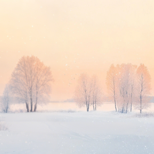 【放松旋律】冬的终章