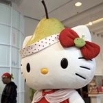 兰兰兰不懒