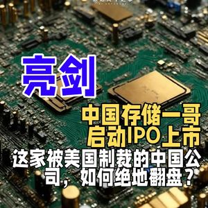中国存储一哥启动IPO上市,这家被美国制裁的中国公司,如何绝地翻盘?