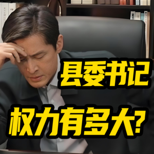 带你了解真实的基层,县委书记权力到底有多大?