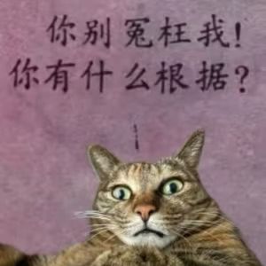 纯粹仇恨战士