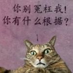 纯粹仇恨战士