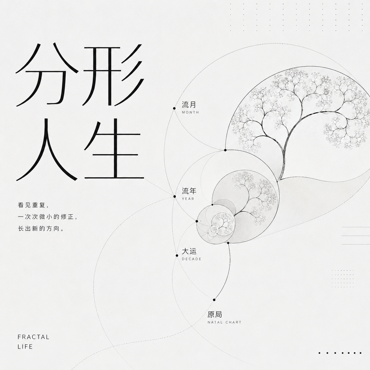 VOL.117 分形隐喻：用原局-大运-流年理解人生底层模式