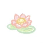 青竹苹果