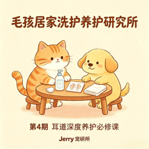 【毛孩居家洗护养护研究所】 第 4 期 耳道深度养护必修课|耳螨、马拉色菌自查+日常清洁,猫狗养护差异