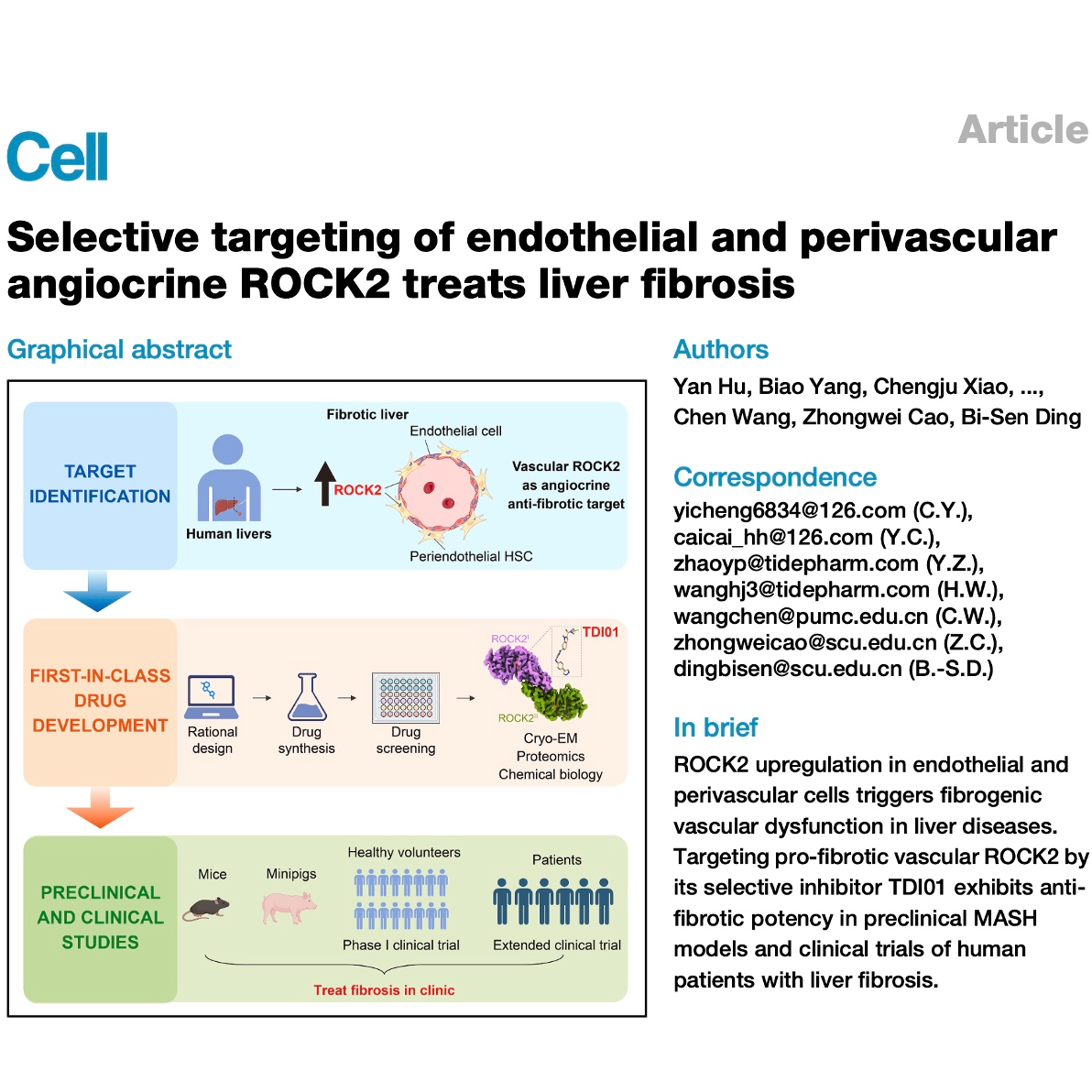 720-ROCK2 Inhibition for Treatment of Liver Fibrosis episode artwork