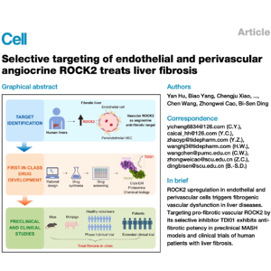 720-ROCK2 Inhibition for Treatment of Liver Fibrosis