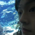 先这样吧ok
