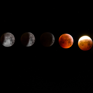 EP15 月亮星座大揭秘:找到自我疗愈的途径和方法(下)