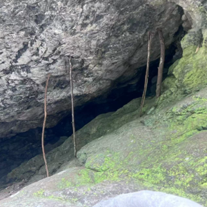 EP17. 五月新事:冥想初体验、扭了腰、石台团建、100天读书打卡、奇奇蒂蒂去了天堂