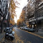 江南岸21