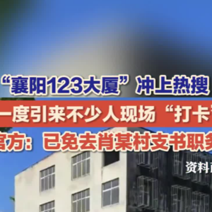 襄阳123大厦，村支书的豪宅与网络玩梗