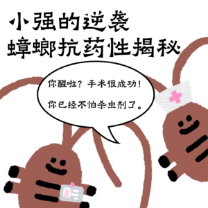Vol.23 小强的逆袭：蟑螂抗药性揭秘
