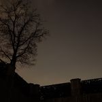 期待大家点评我的博客感恩