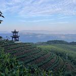 母子小会