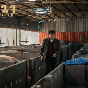 【ep09】评《红毯先生》：人生可以输，但不能逃。电影也一样。