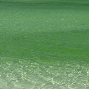 7.青甘大环线大西北铁腚之旅｜穿搭｜文案｜费用｜7月中旬