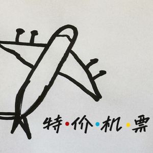 一张特价机票