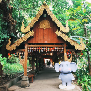 旅行的无意义035｜云南西双版纳很美，但我还是踩了很多坑，报团就是妥妥的大冤种（上）