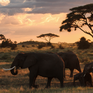 006.旅行的意义 是我发现我婆婆有多抓马 是我发现我根本不喜欢旅行