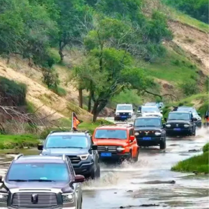 国补红利+提效工具+保客运营 看承德伟翔如何建立长效经营护城河