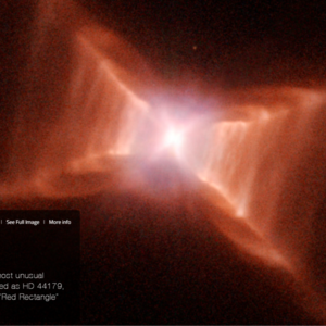 对话单引 | 从不想打工到不想打工鸭