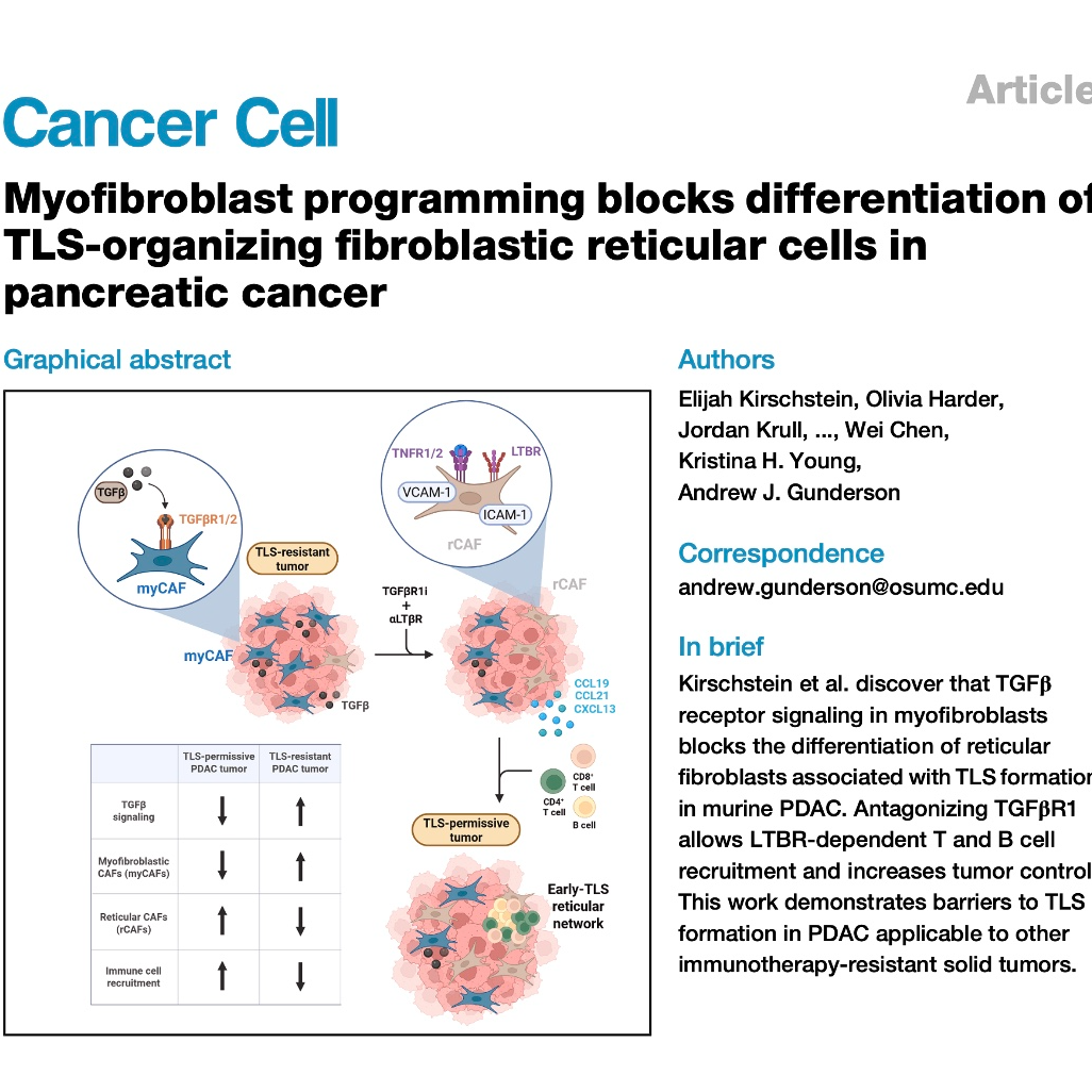 785-Myofibroblast Barriers to TLS Formation in PDAC episode artwork
