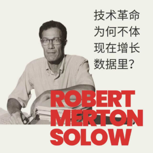 EP.2 索洛："到处都是AI，为什么唯独在增长数据中看不到？”