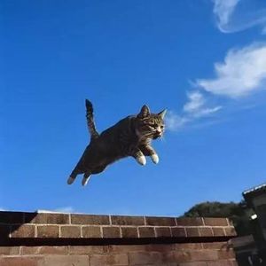 忘忧三件套：万家饭万里路与万卷书