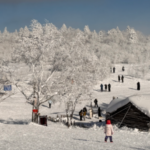 No.039-允许自己状态不佳｜走一步看一步，不要走一步看十步