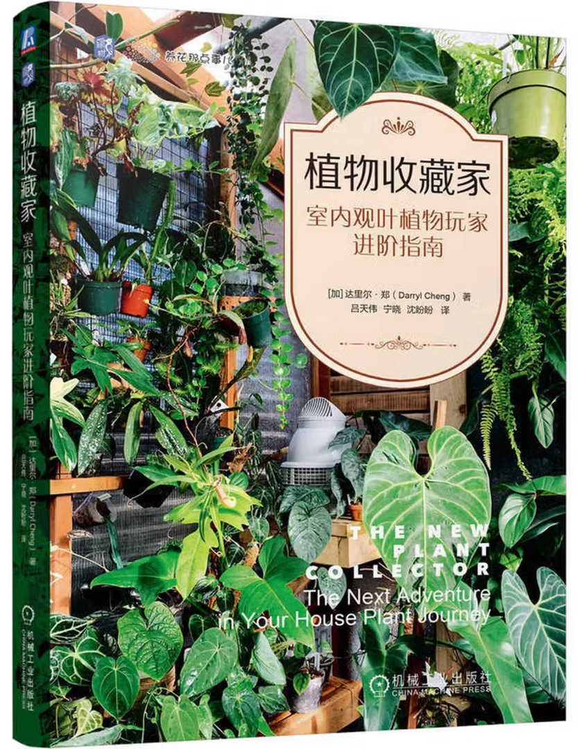 植物收藏家：室内观叶植物玩家进阶指南