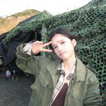 春天树forest