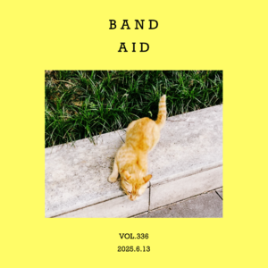 vol.336：一个随身携带的，精神创可贴！