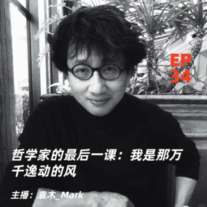 34. 哲学家的最后一课：我是那万千逸动的风