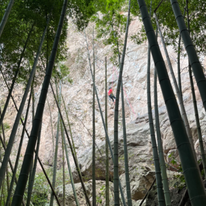 vol.004 攀岩｜浙江临安狮头岩：一起去竹林里攀岩吗？