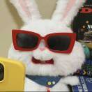 海盐甜甜圈_dvdh