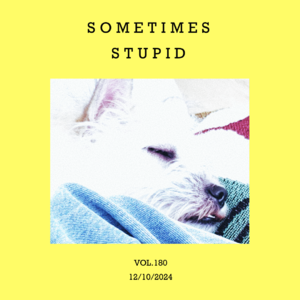 vol.180：又被自己蠢哭了......