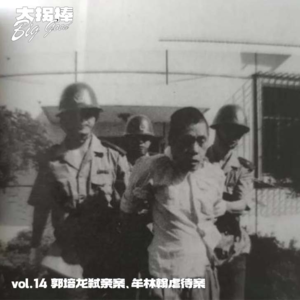 vol.14 又一个北京的春天:郭培龙弑亲案、牟林翰虐待案