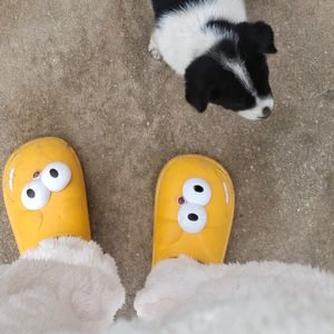 口腔正畸常用的弓丝弯制技术（1）