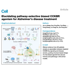323-Gq-Biased CCKBR Agonism for Alzheimer's Therapy