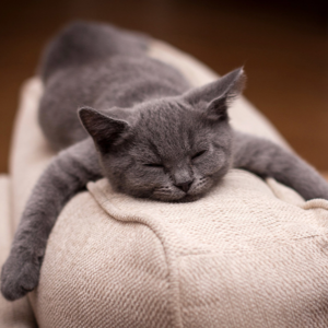 VOL.026 一起缓缓吧：漫谈那些令人心累的事