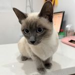 徐无鬼_