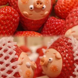 小黑猪和小花猪生活风波