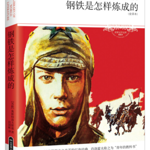 07.《钢铁是怎样炼 成的》