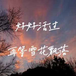 好好活过,再等雪花飘落