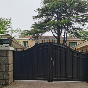 VOL126.我妈妈今天祝我早日实现梦想耶！